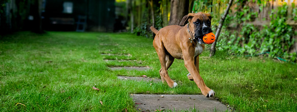 Brewster very first photos-53bb