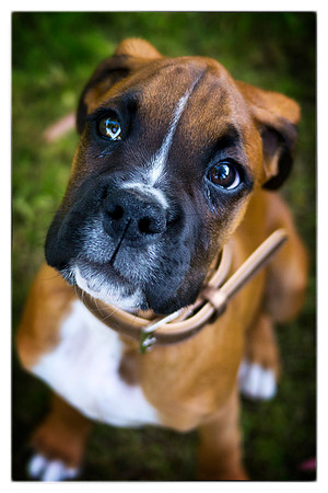 Brewster very first photos-37