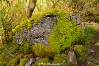 Ystradfellte, 4 Waterfalls Walk, Brecon Beacons, Wales, May 2014-76