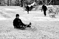 Sutton park-18.jpg