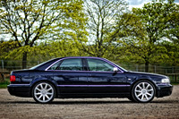 Amar's Blue S8-15
