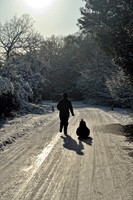Sutton park-2.jpg
