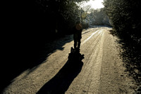 Sutton park-1.jpg