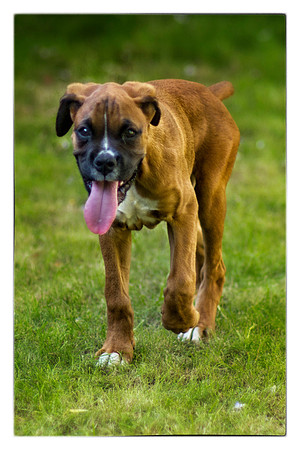 Brewster first photos -82