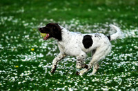 Longford park 5th May 2013-42