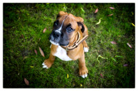 Brewster very first photos-28