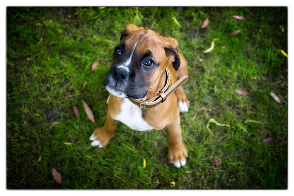 Brewster very first photos-28