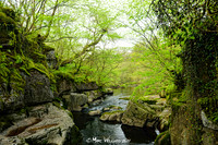 Ystradfellte, 4 Waterfalls Walk, Brecon Beacons, Wales, May 2014-73