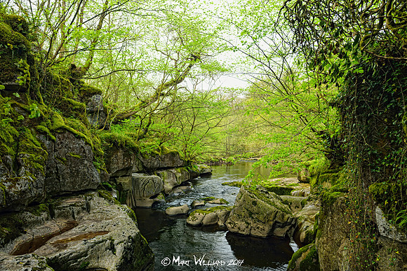 Ystradfellte, 4 Waterfalls Walk, Brecon Beacons, Wales, May 2014-73