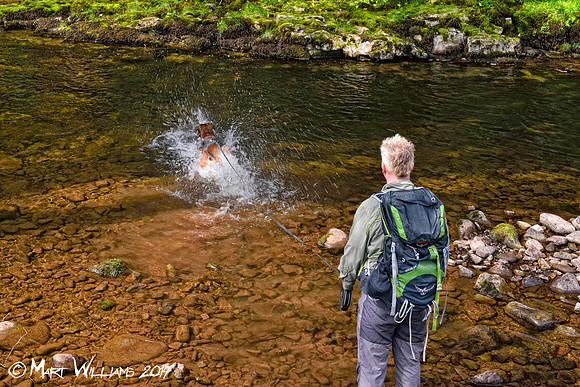 Ystradfellte, 4 Waterfalls Walk, Brecon Beacons, Wales, May 2014-81