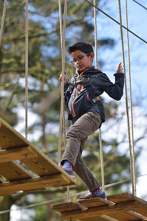 Cannock Chase with Nick and Family April 2014-71