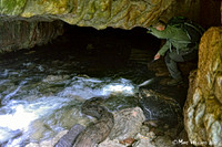 Ystradfellte, 4 Waterfalls Walk, Brecon Beacons, Wales, May 2014-10