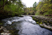 Ystradfellte, 4 Waterfalls Walk, Brecon Beacons, Wales, May 2014-111