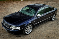 Amar's Blue S8-3