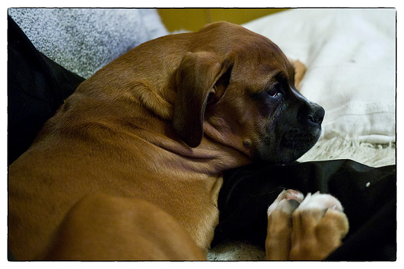 Brewster June 2012-20