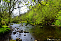 Ystradfellte, 4 Waterfalls Walk, Brecon Beacons, Wales, May 2014-84