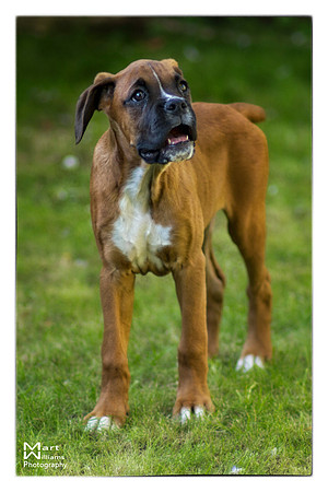 Brewster first photos -80b