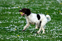 Longford park 5th May 2013-38