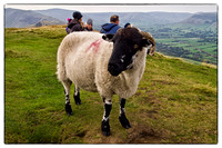 Castleton Walk Oct 2011-43b - Copy