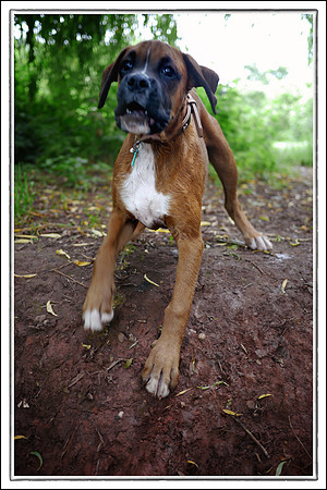 Brewster End June 2012-50b