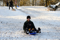 Sutton park-16.jpg