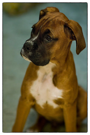 Brewster June 2012-8