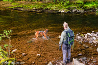 Ystradfellte, 4 Waterfalls Walk, Brecon Beacons, Wales, May 2014-77