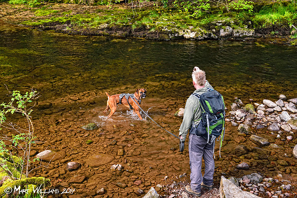 Ystradfellte, 4 Waterfalls Walk, Brecon Beacons, Wales, May 2014-77