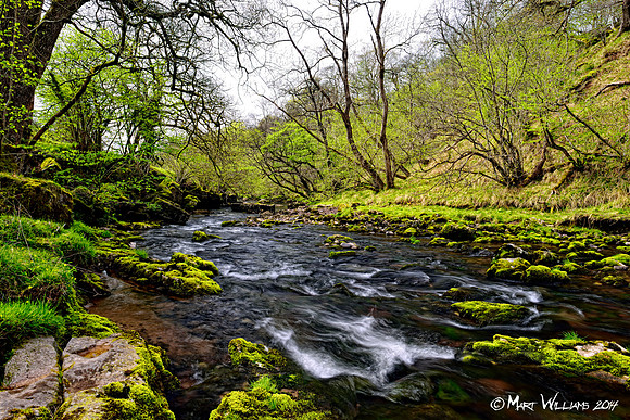 Ystradfellte, 4 Waterfalls Walk, Brecon Beacons, Wales, May 2014-90