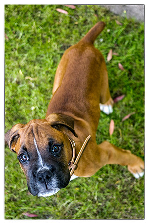 Brewster very first photos-30