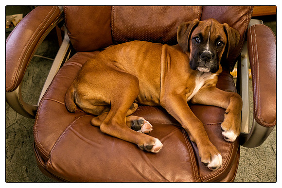 Brewster Last day of May 2012-9
