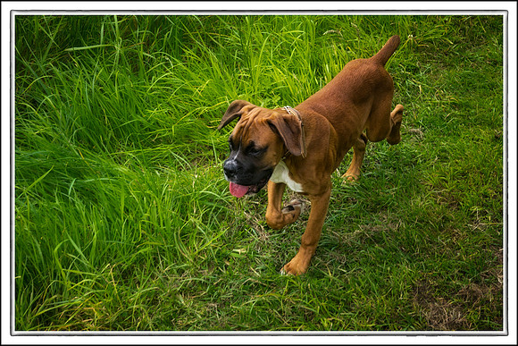 Brewster End of June  2012-35