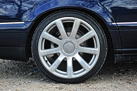 Amar's Blue S8-16