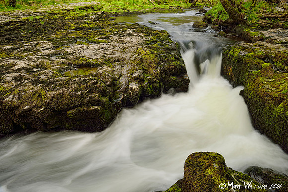 Ystradfellte, 4 Waterfalls Walk, Brecon Beacons, Wales, May 2014-103b