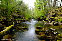 Ystradfellte, 4 Waterfalls Walk, Brecon Beacons, Wales, May 2014-93