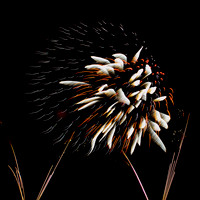 Fireworks Longford Park 2009-34.jpg