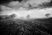 Thors Cave_2009_01_27_004_nik b&w.jpg
