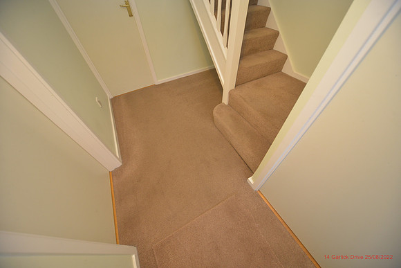 14 Garlick Drive Aug 2022 015