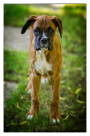 Brewster first photos -90