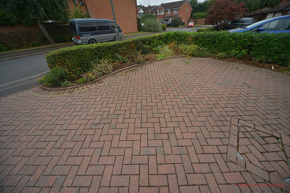 14 Garlick Drive Aug 2022 153