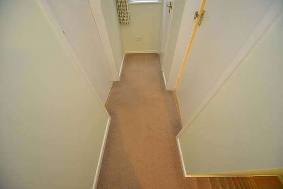 14 Garlick Drive Aug 2022 084