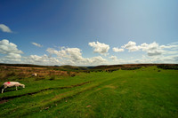 Long Mynd_2009_08_07_73_.jpg