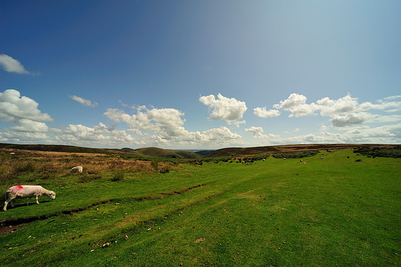 Long Mynd_2009_08_07_73_.jpg