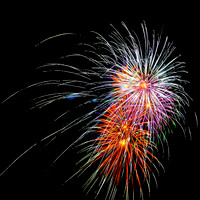 Fireworks Longford Park 2009-54.jpg