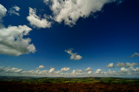 Long Mynd_2009_08_07_63_.jpg
