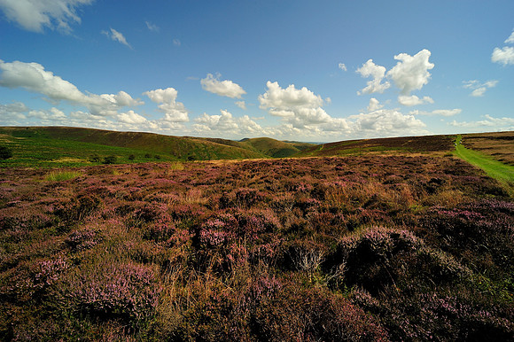 Long Mynd_2009_08_07_75_.jpg