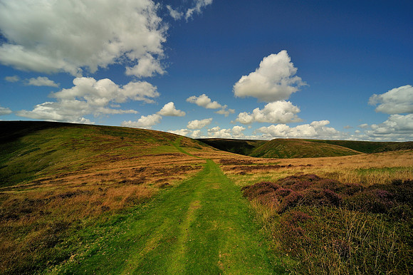 Long Mynd_2009_08_07_85_.jpg