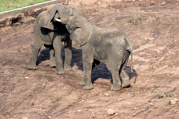 DSC_2891