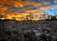 The Slough Nature Reserve