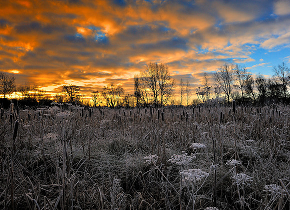 Slough_2009_01_03_01_.jpg